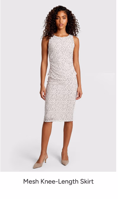 Mesh Knee-Length Skirt
