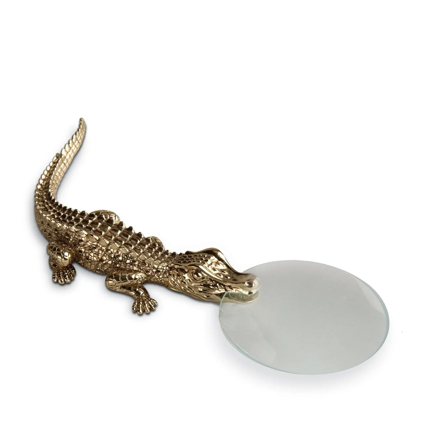 Image of Crocodile Magnifying Glass