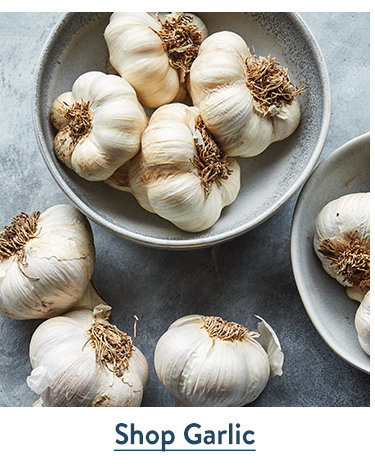Garlic Bulbs
