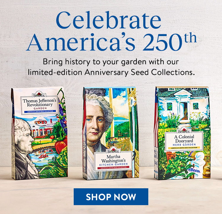 America's 250th Collections