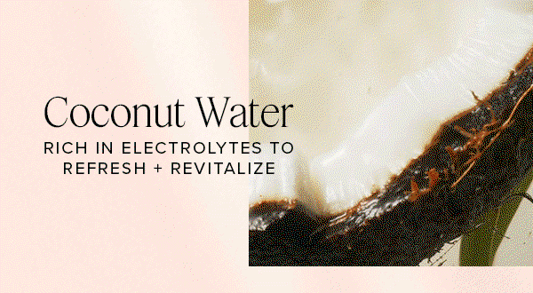 Fresh coconut showcasing coconut water, rich in electrolytes to help refresh and revitalize skin.