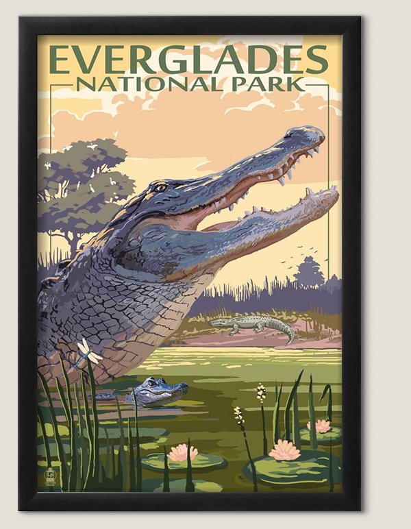 The Everglades National Park Florida