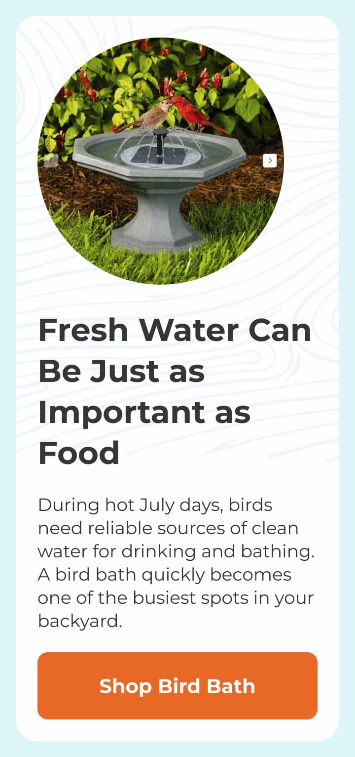 Fresh Water Can Be Just as Important as Food