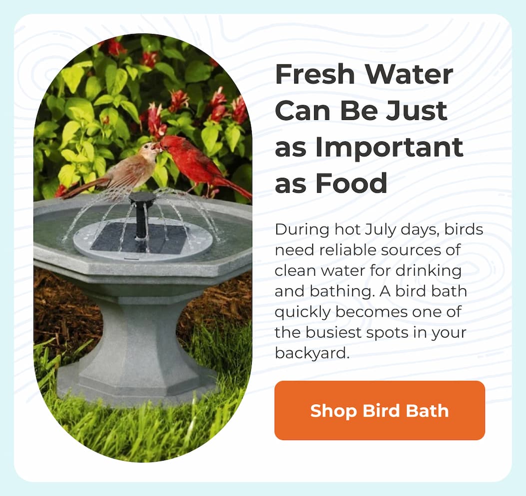 Fresh Water Can Be Just as Important as Food