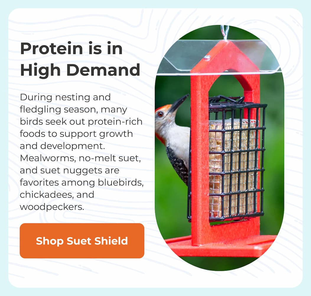 Protein is in High Demand
