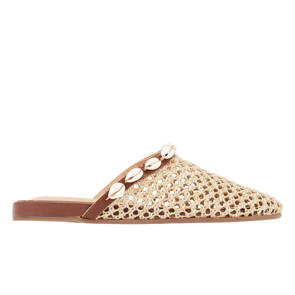 Image of The Slipper Shells Natural