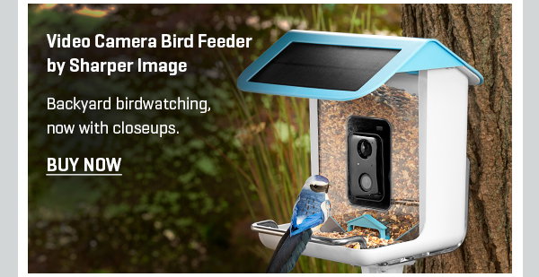 Video Camera Bird Feeder by Sharper Image