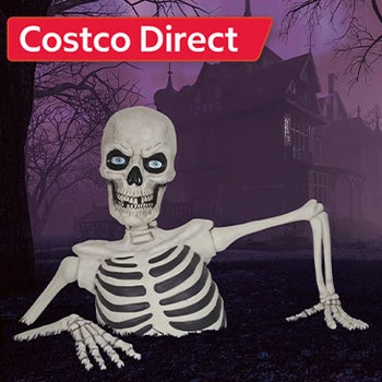 Giant Ground Breaking Skeleton with LCD Eyes and Sound