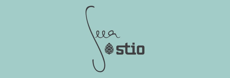 Stio x Seea