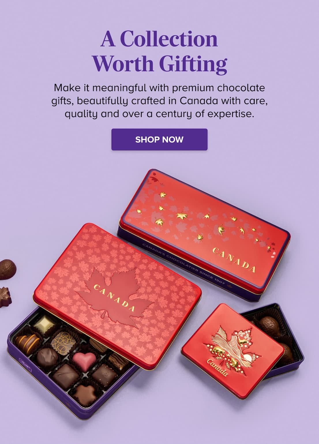 A Collection Worth Gifting SHOP NOW