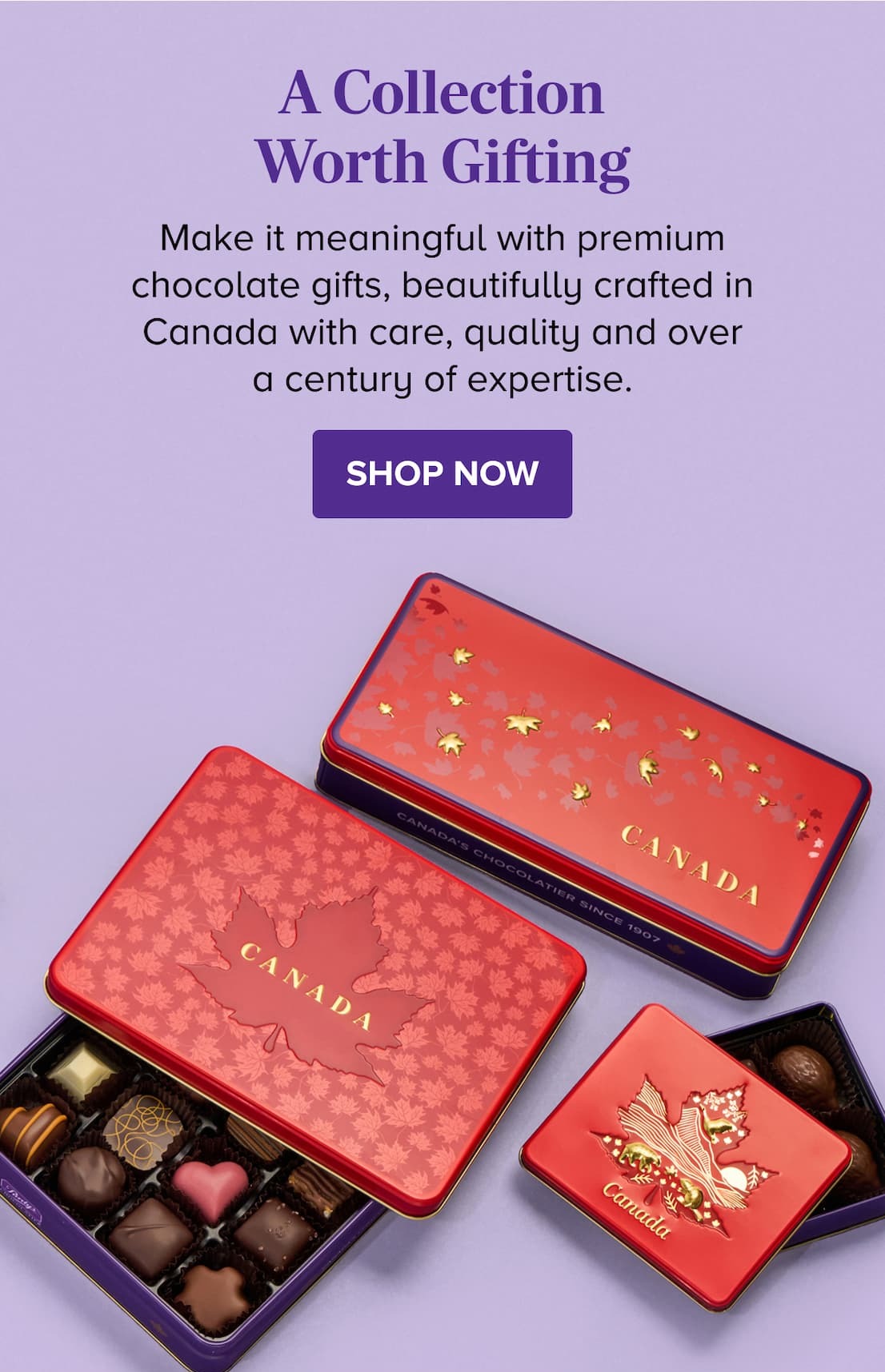 A Collection Worth Gifting SHOP NOW