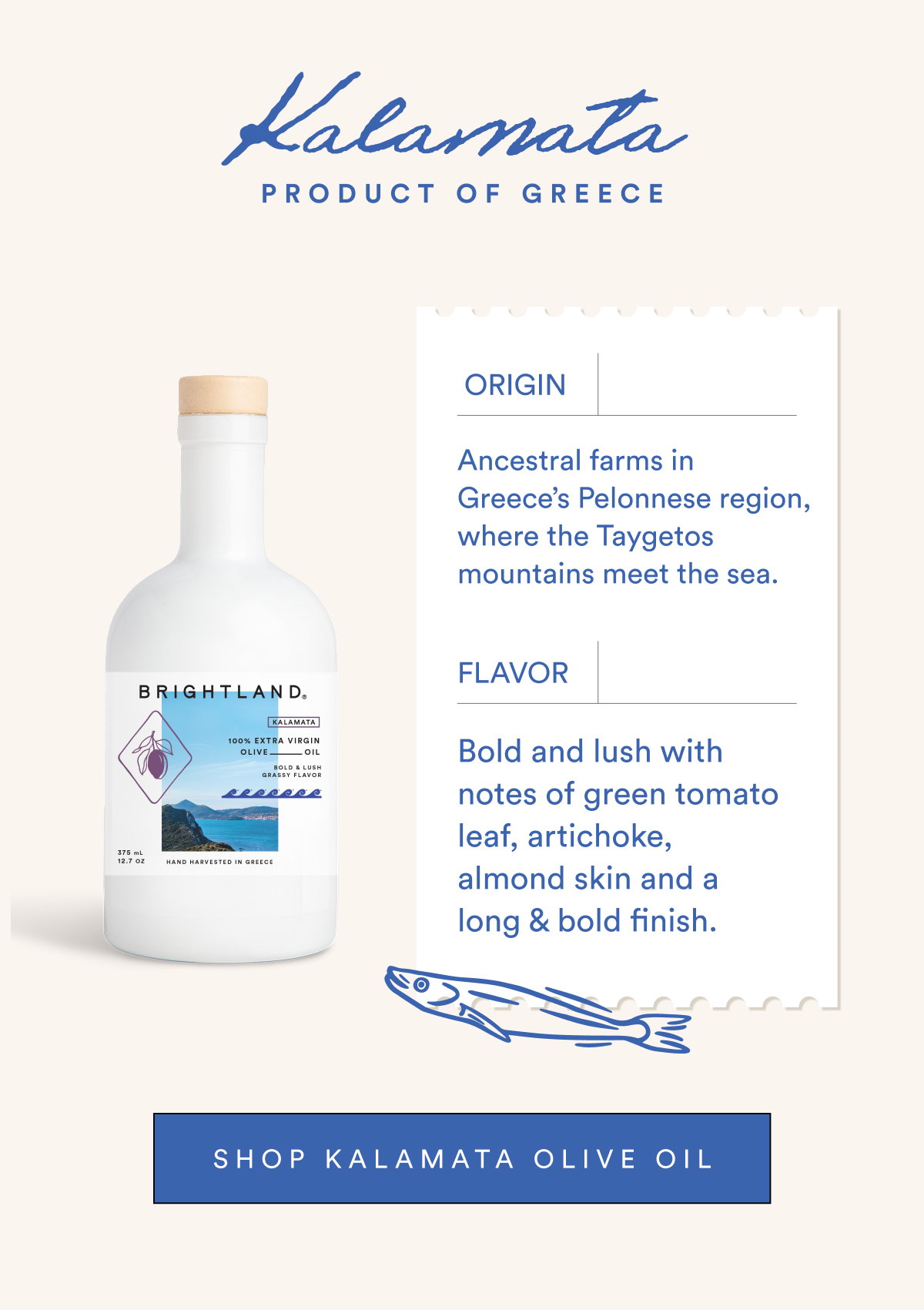 Shop Kalamata Olive Oil