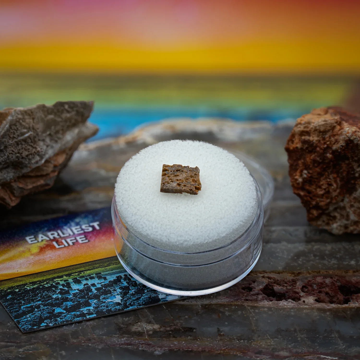 Image of Earliest Life - North Pole Dome Stromatolite