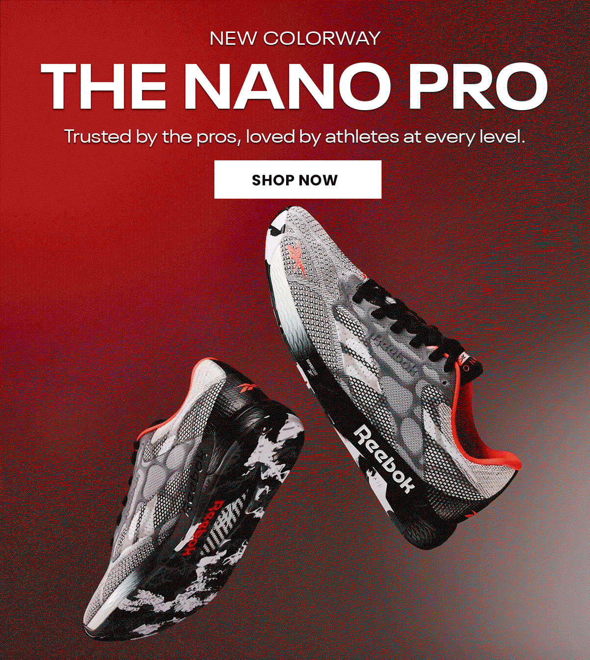 training-nano-pro