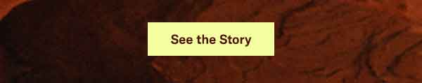 See the Story