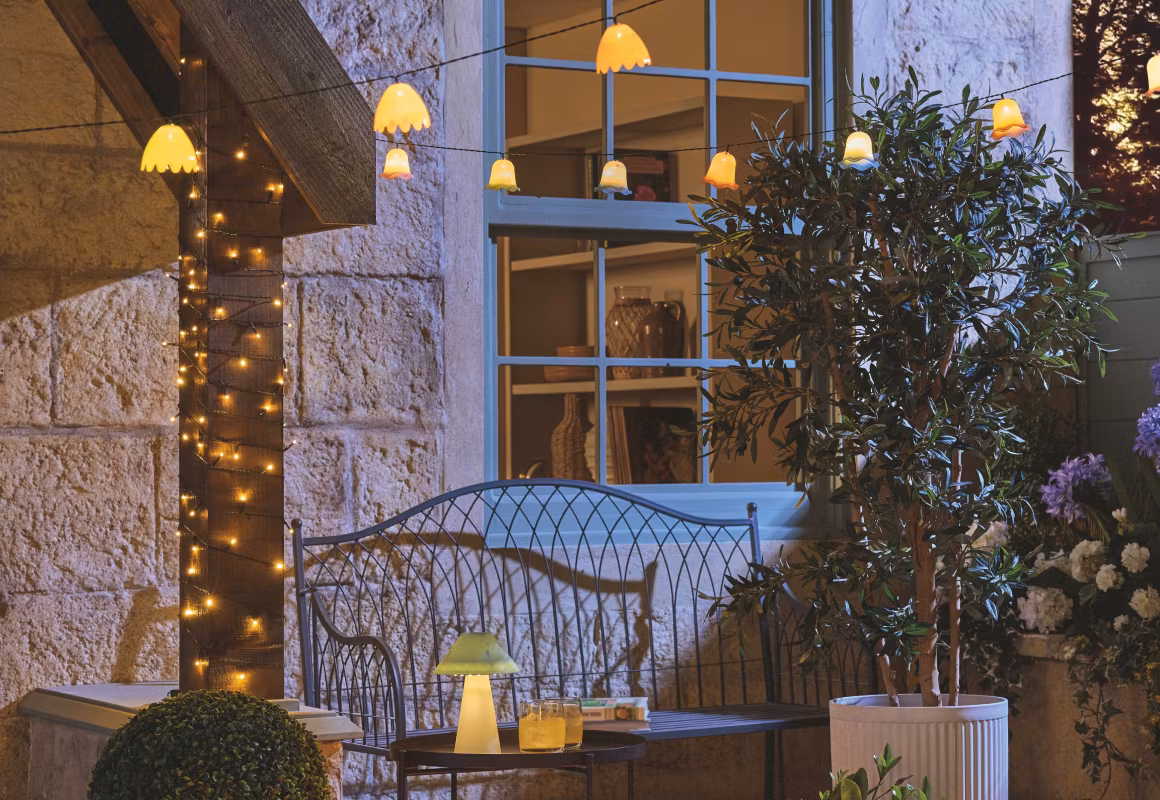 Header Outdoor Summer Image