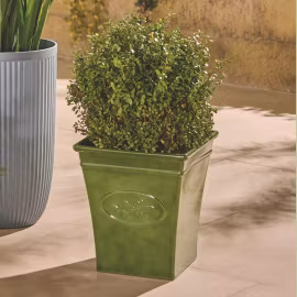 Square Olive Planter image