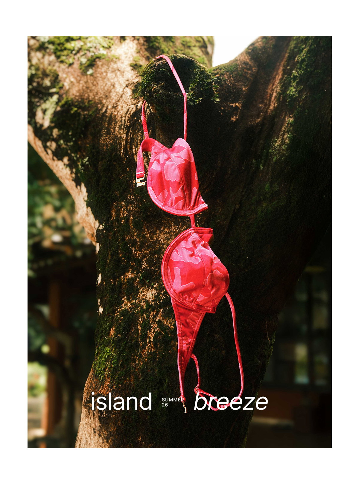 island breeze
