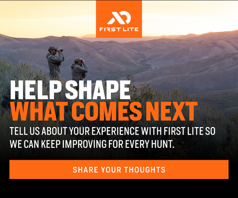 Share your thoughts