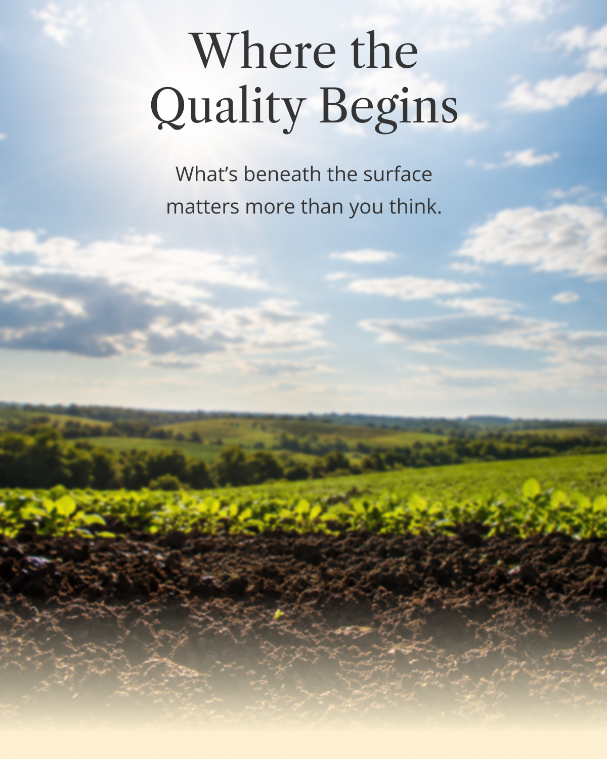 Where the Quality Begins