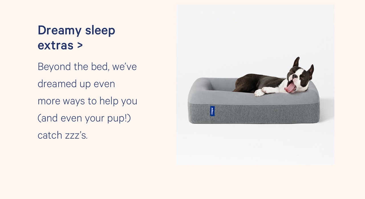 Dreamy sleep extras > Beyond the bed, we've dreamed up even more ways to help you (and even your pup!) catch zzz's.