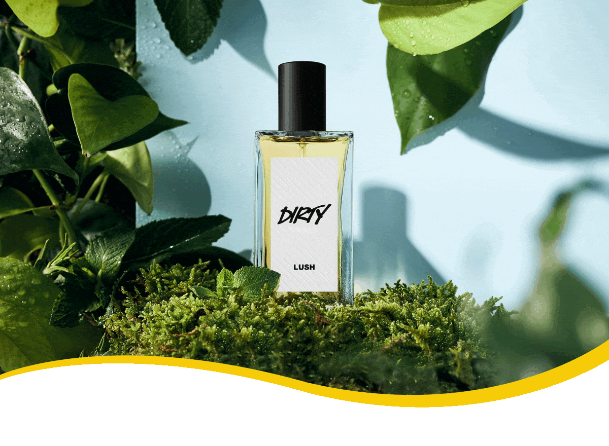 Rotating images of Avocado Co-Wash Body Spray, Dirty Perfume, Lime Bounty Body Butter
