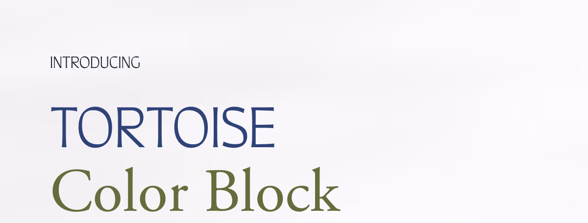 Introducing Tortoise Color Block