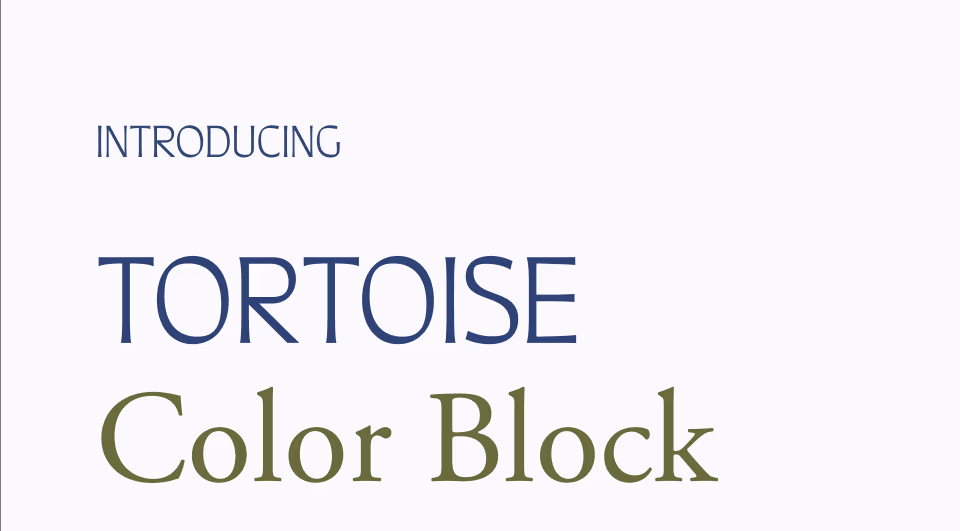 Introducing Tortoise Color Block