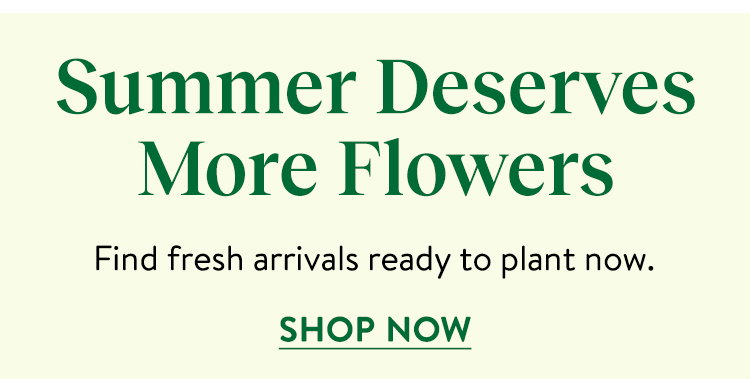 Summer Shipping Plants
