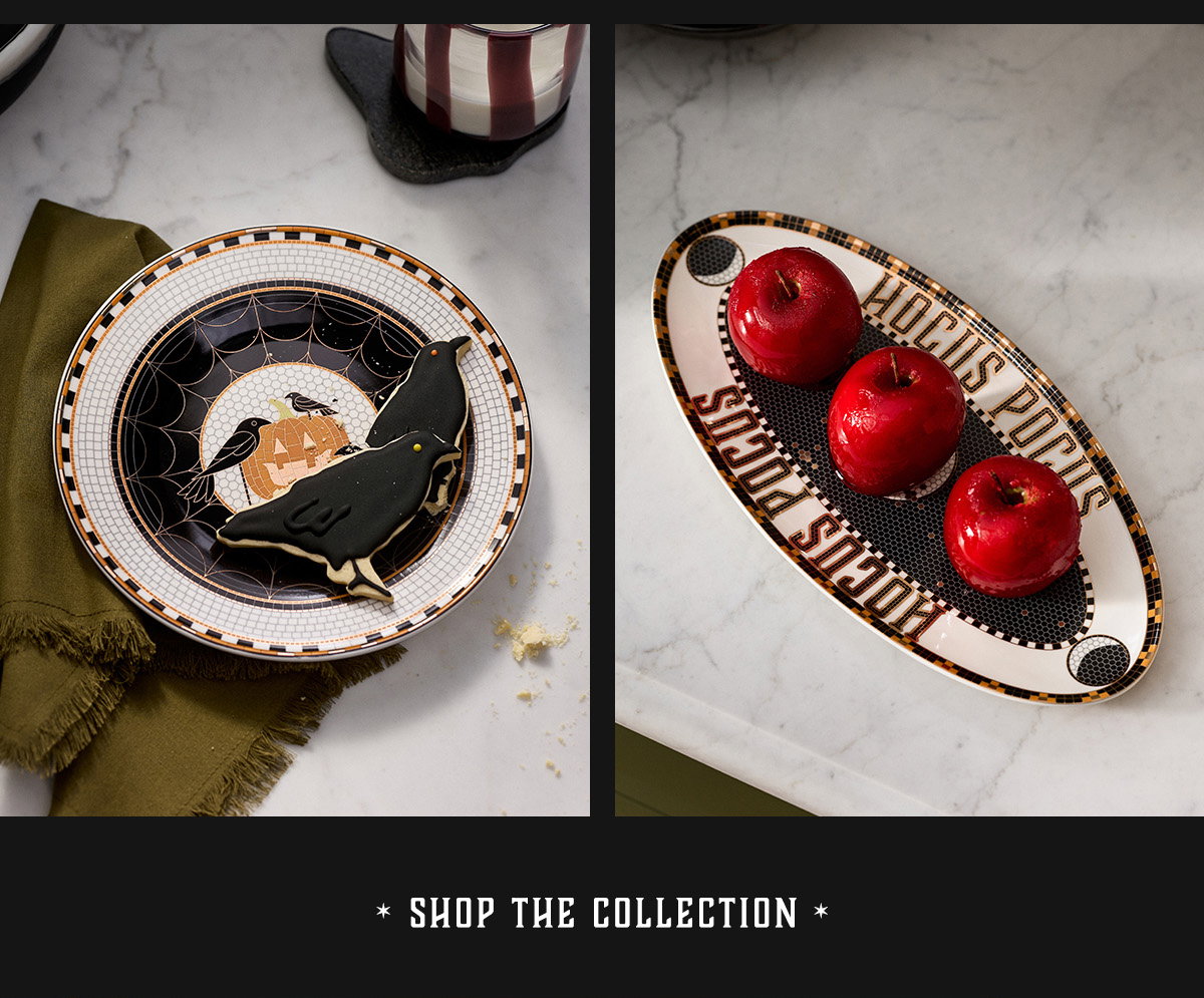 Shop The Collection
