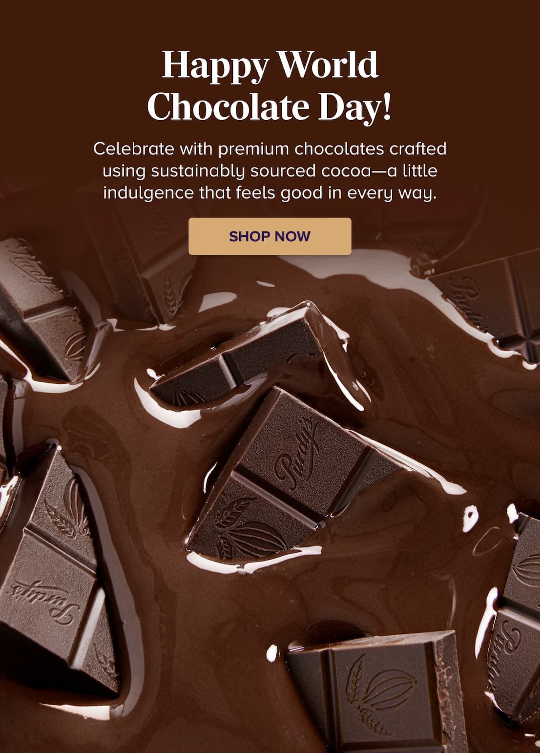 Happy World Chocolate Day SHOP NOW