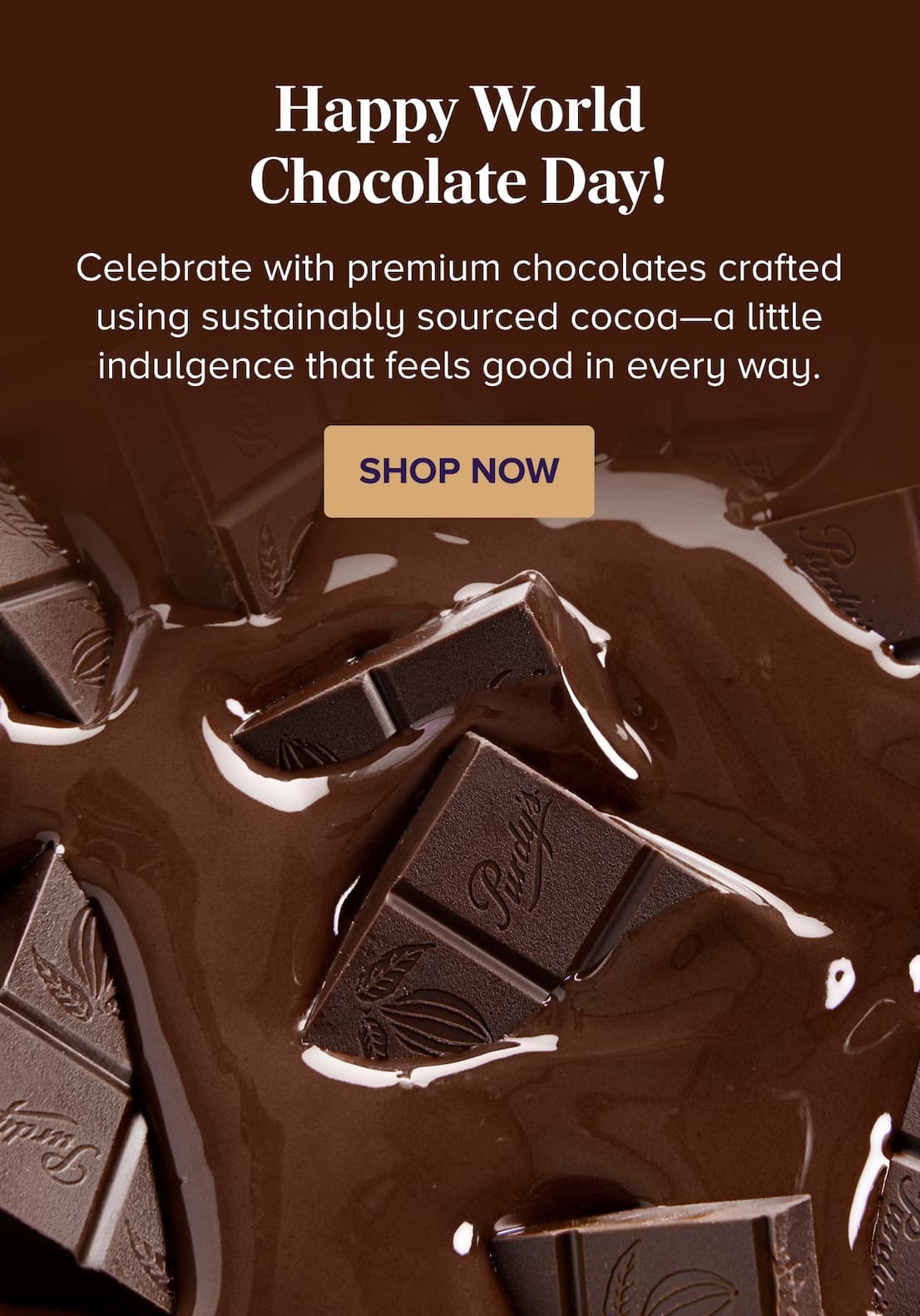 Happy World Chocolate Day SHOP NOW