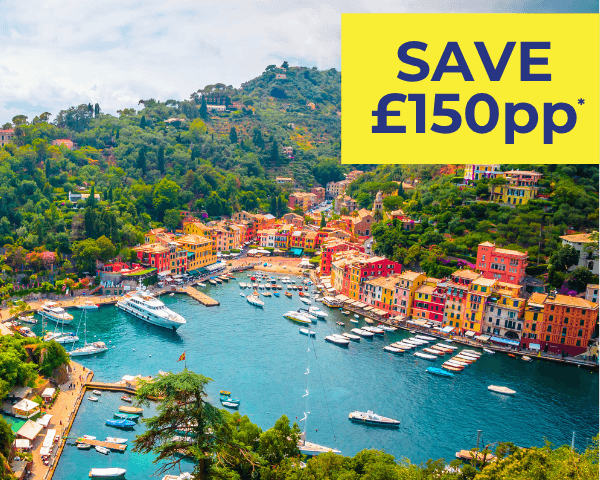 Aerial view of a colourful coastal village with boats in the harbour and lush green hills.