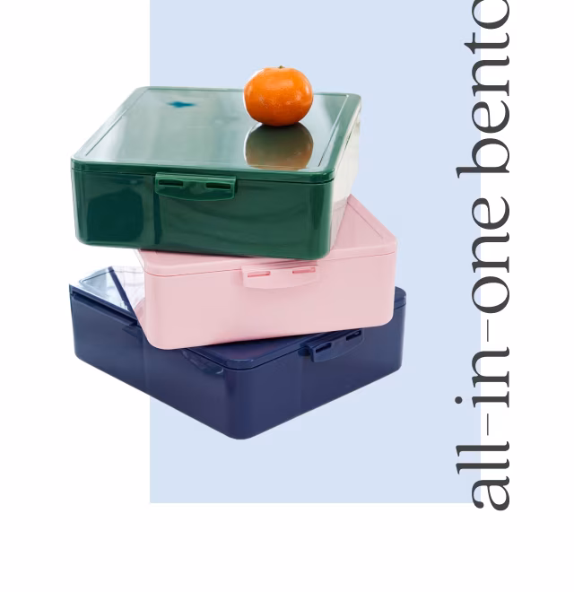 all-in-one bento