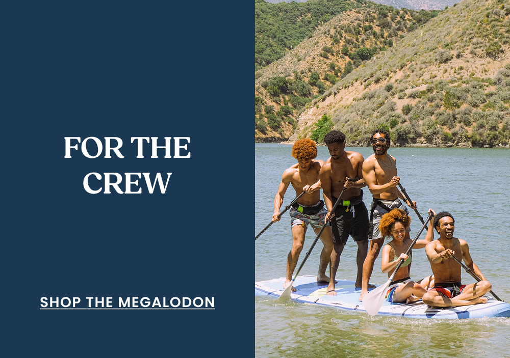Shop The Megalodon