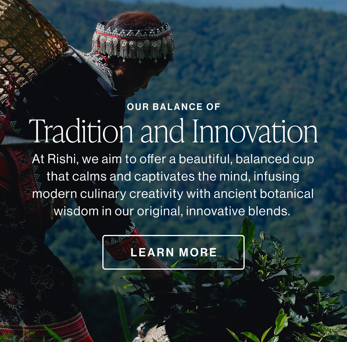 Our Balance of Tradition and Innovation