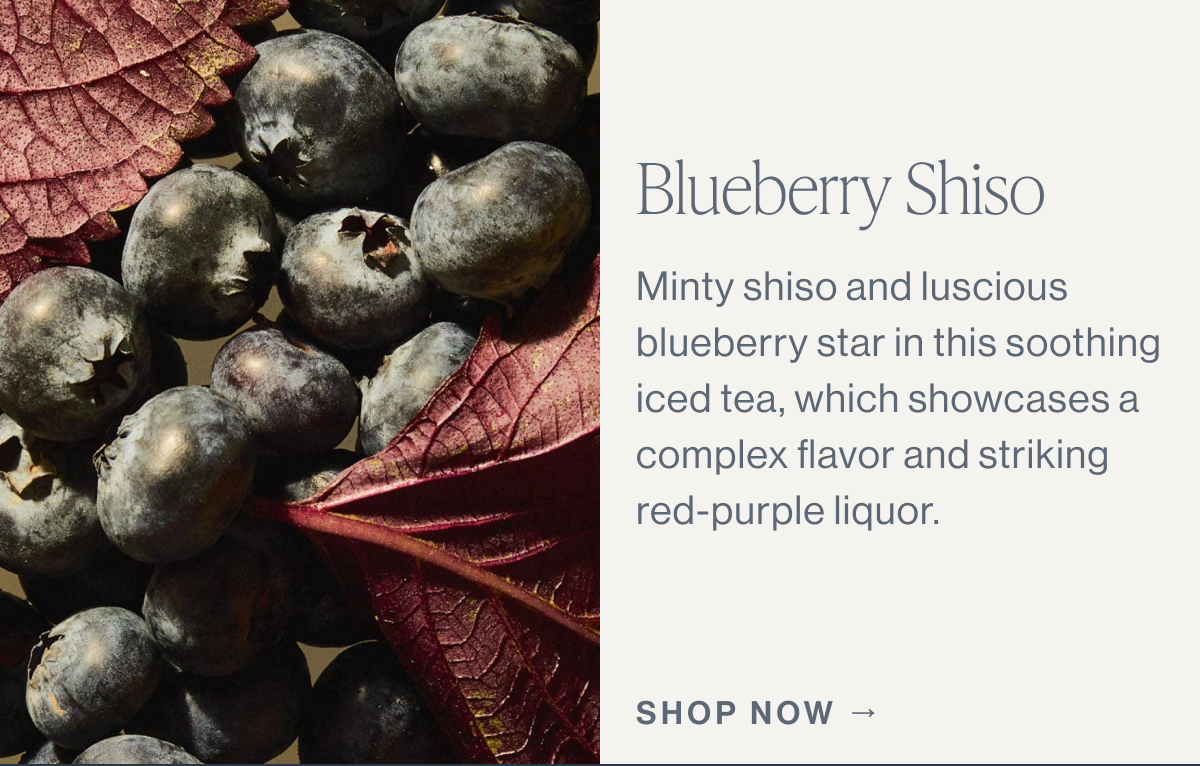 Blueberry Shiso  Minty shiso and luscious blueberry star in this soothing iced tea, which showcases a complex flavor and striking red-purple liquor. 