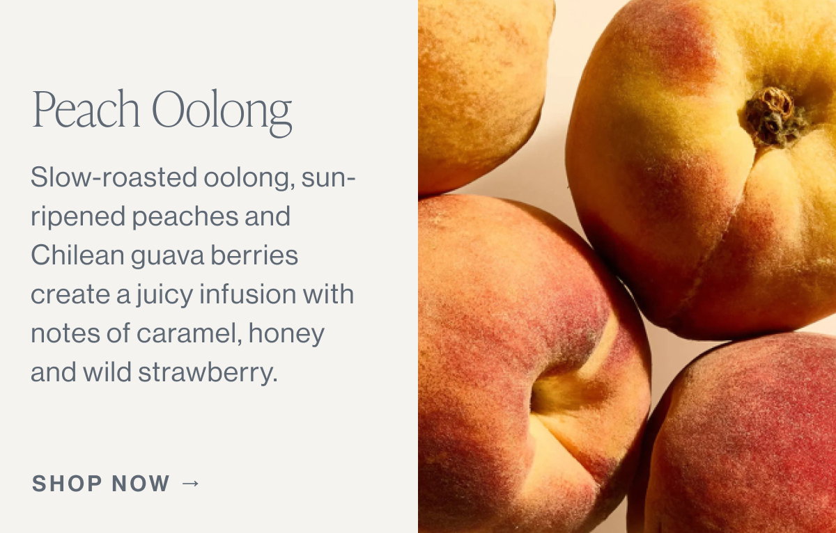 Peach Oolong  Slow-roasted oolong, sun-ripened peaches and Chilean guava berries create a juicy infusion with notes of caramel, honey and wild strawberry.  [[SHOP NOW →]]