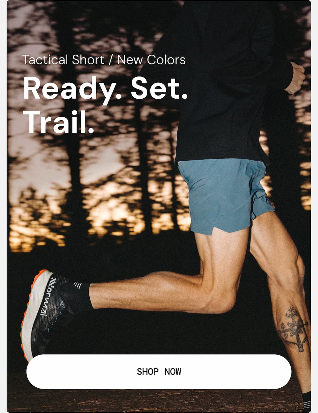 Tactical Shorts: New Colors