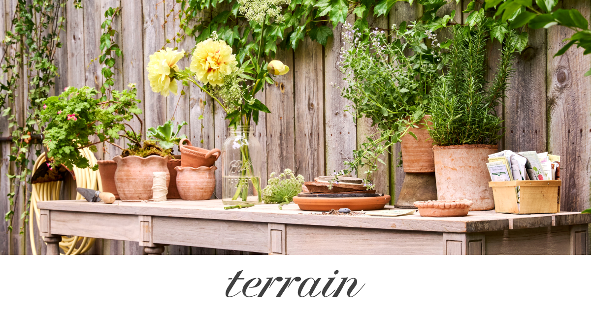 terrain