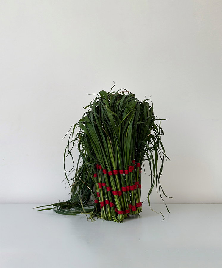 Ikebana with Grass