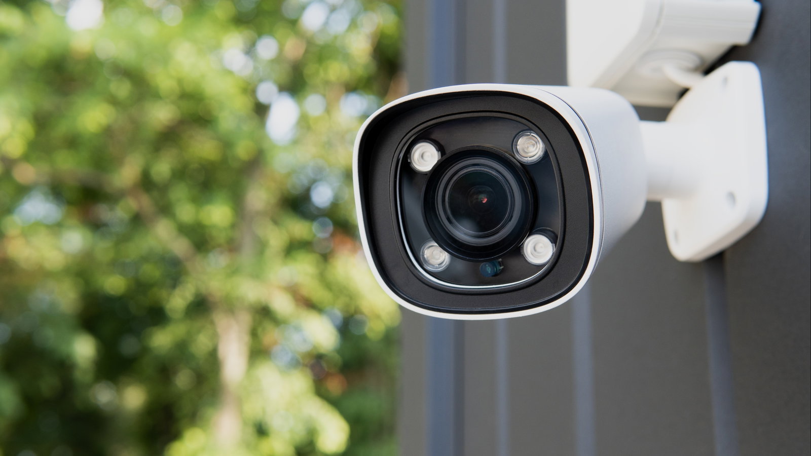 Rate the Security Cameras, Doorbells, Smart Locks, and More Protecting You