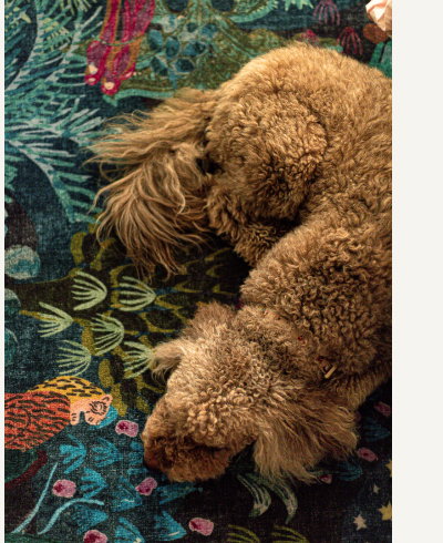 Josephine Midnight Rug