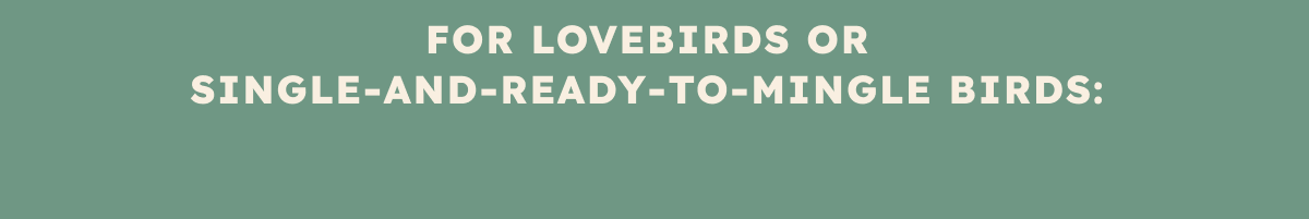 FOR LOVEBIRDS OR SINGLE-AND-READY-TO-MINGLE BIRDS: