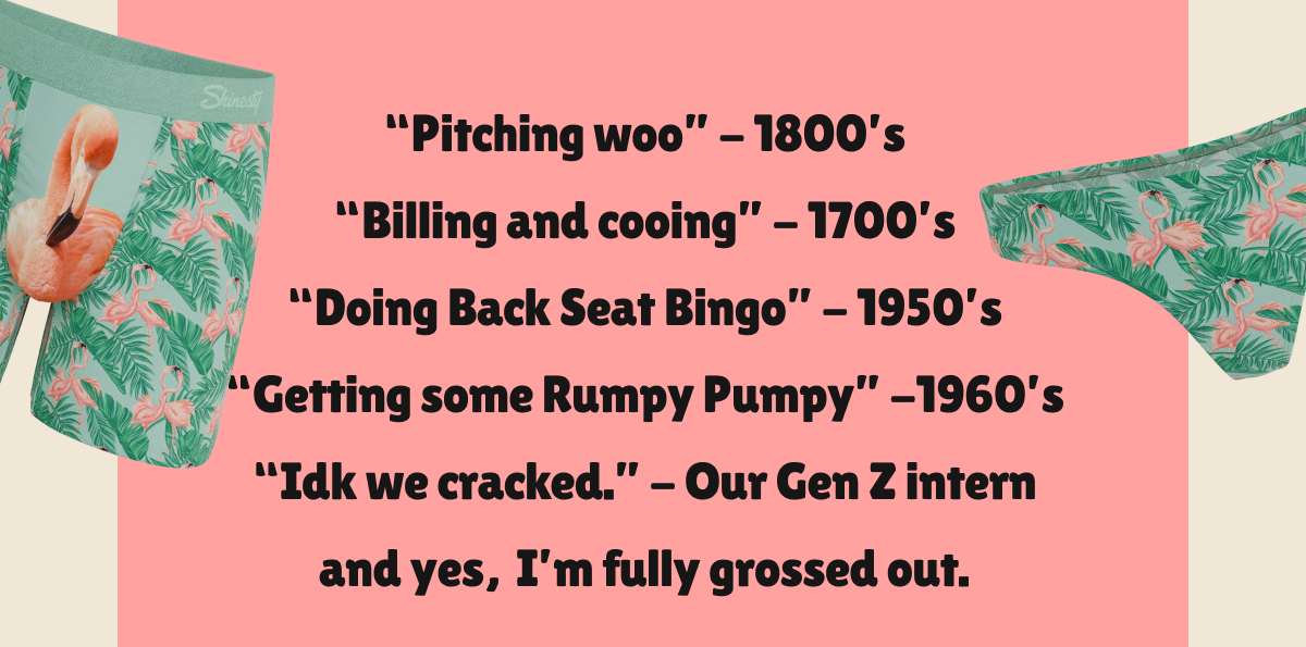 “Pitching woo” - from the early 1800s “Billing and cooing” -from the 1700s “Doing Back Seat Bingo” - from the 1950’s “Getting some Rumpy Pumpy” -from the 1960’s “Idk we cracked.” - from our Gen Z intern and yes, I’m fully grossed out.