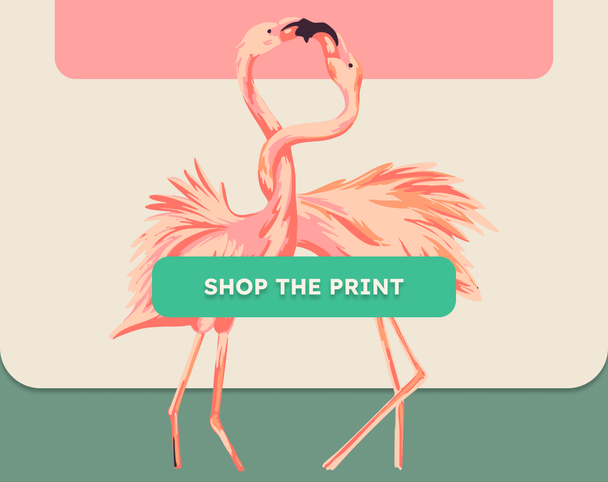 SHOP THE PRINT