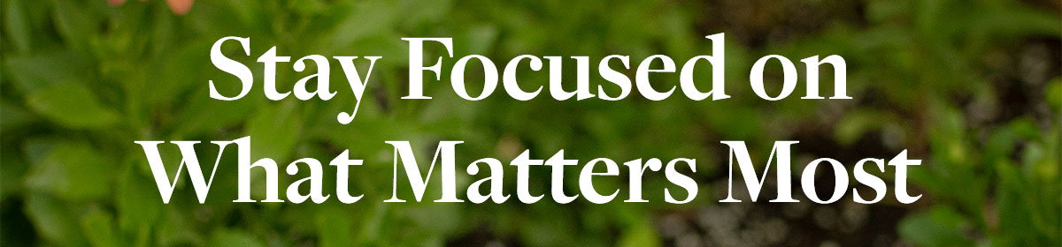 Stay Focused On What Matters Most.