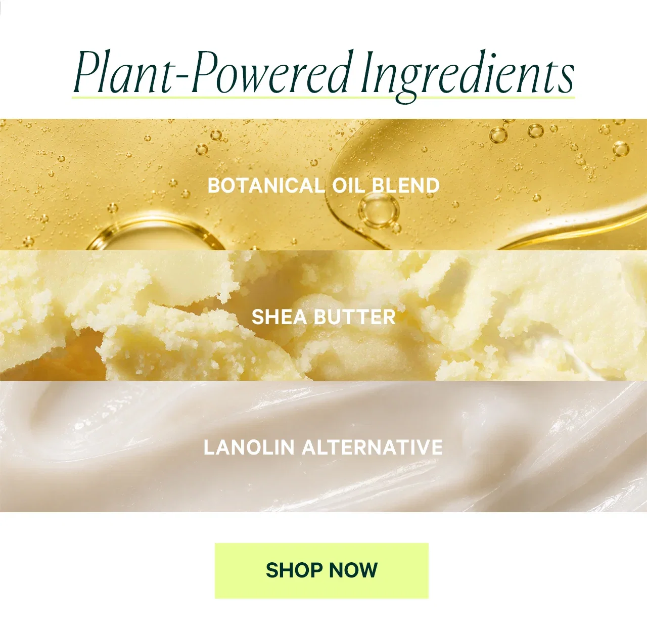 Plant-Powered Ingredients
