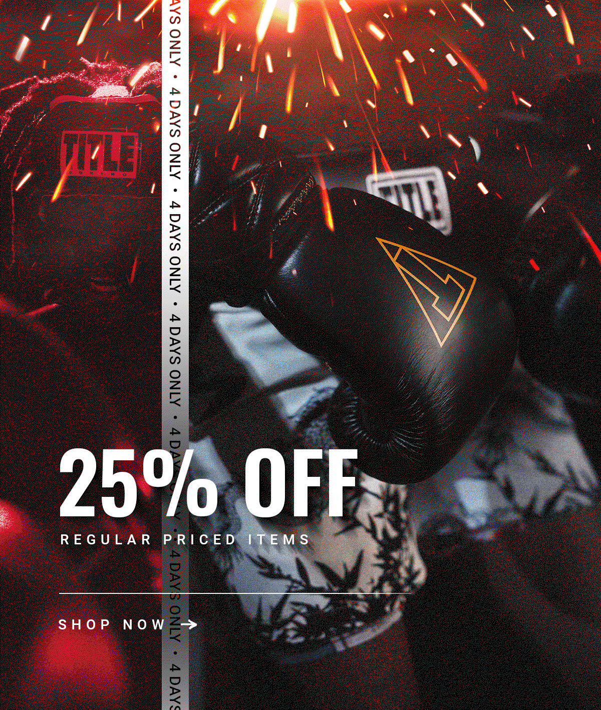 SHOP 25% OFF REGULAR PRICED ITEMS - 4 DAYS ONLY!