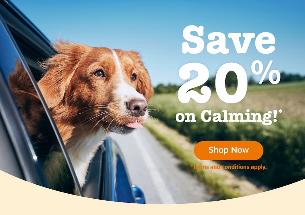 Save 20 on Calming!* Shop Now